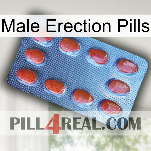 Male Erection Pills 06.jpg